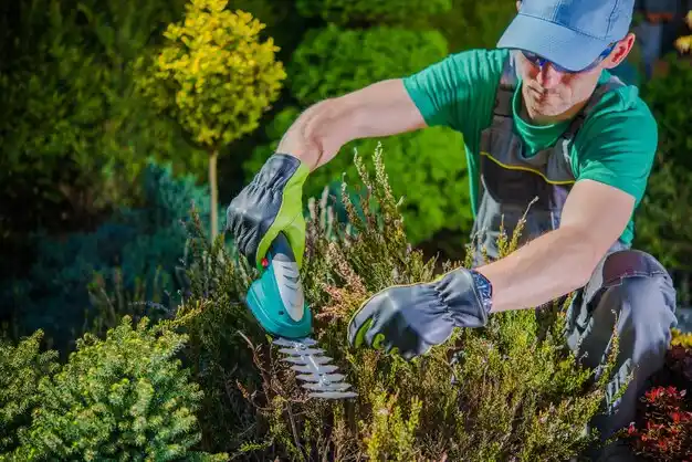 landscaping services Flat Rock